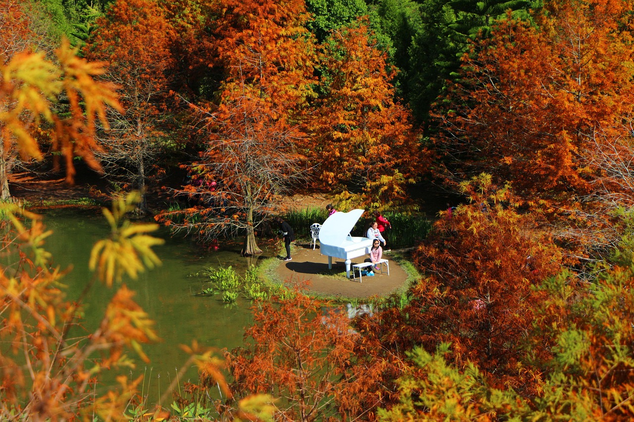 Piano Retreat at a Country Manor - Audiation - Complete